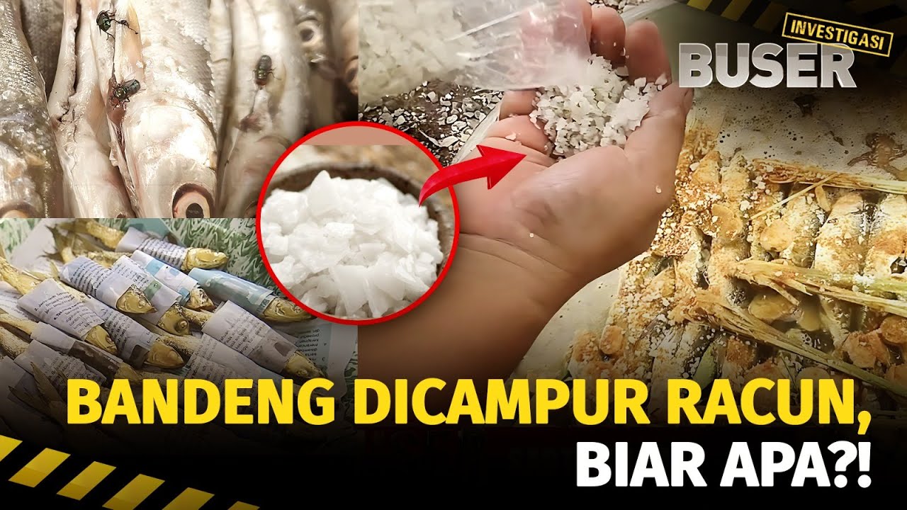 Dosa! Pindang Ikan Bandeng Dicampur Racun Kimia | Buser Investigasi