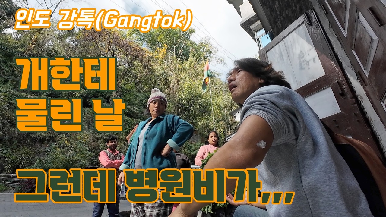 인도 시킴주 여행. '강톡' 도심 트레킹! 걸어서 힌두 사원 불교 사원 가보기,  걷다가 당한 개 물림 사고, 그런데 병원비가? (인도 배낭여행 태국은 덤 24)