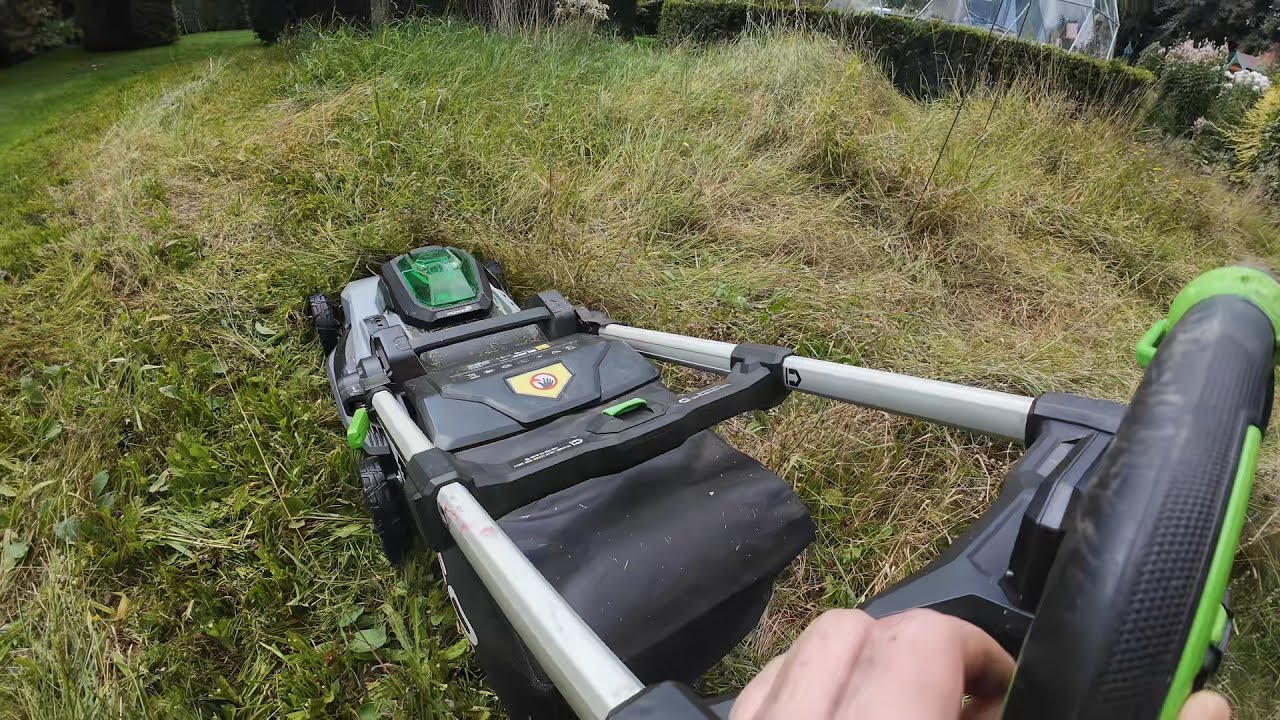 Meadow Grass cut 10th Aug 2025