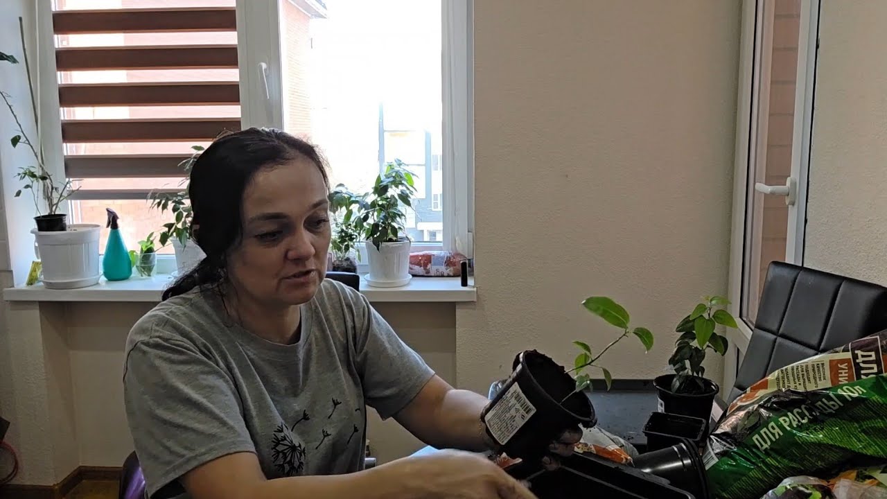 320 САЖАЮ ЦВЕТЫ И БОЛТАЮ ПРО ДАЧУ  . КОМУ РАНО, А НАМ ПОРА Жизнь на юге. 