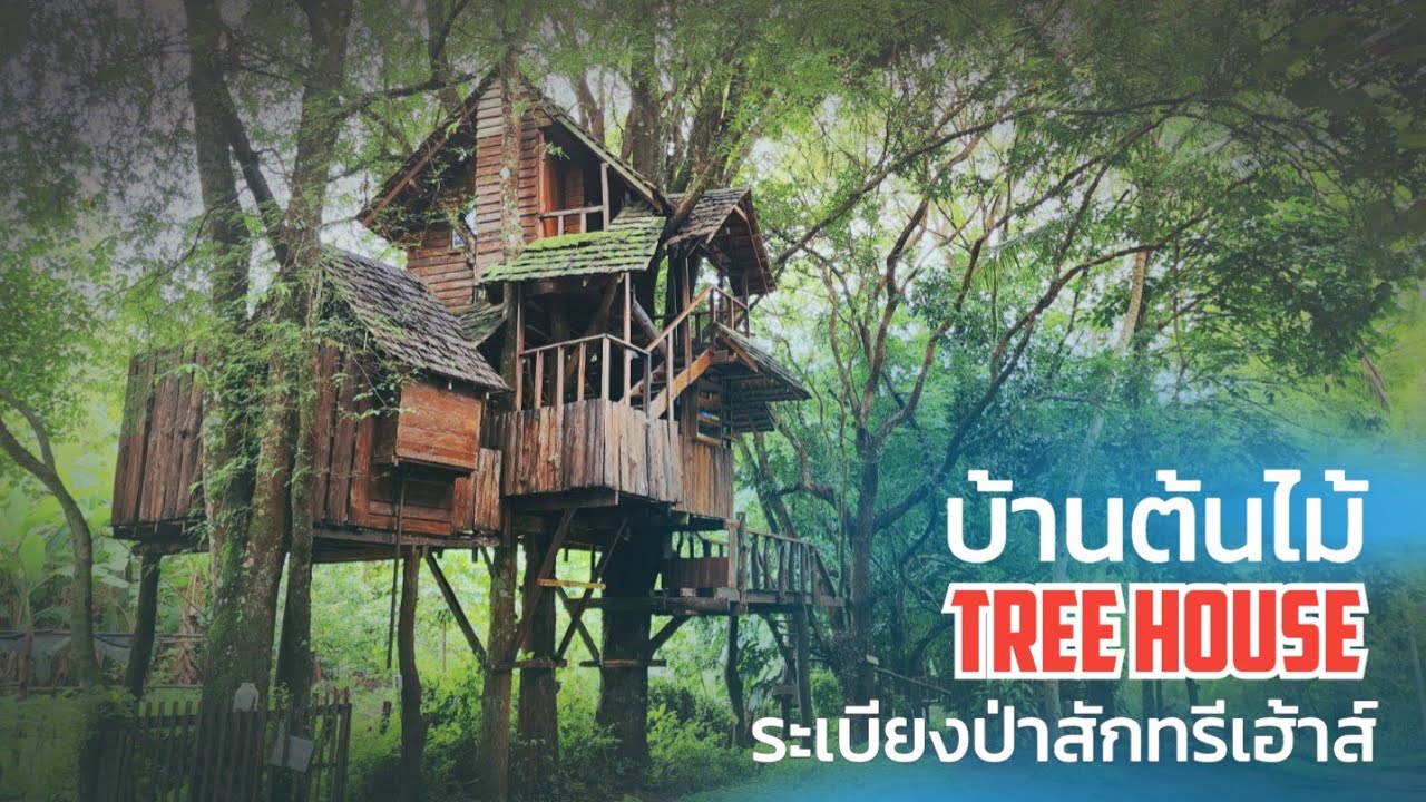 บ้านต้นไม้ #ระเบียงป่าสักทรีเฮ้าส์ จ.เชียงใหม่ @zcamp6845  )