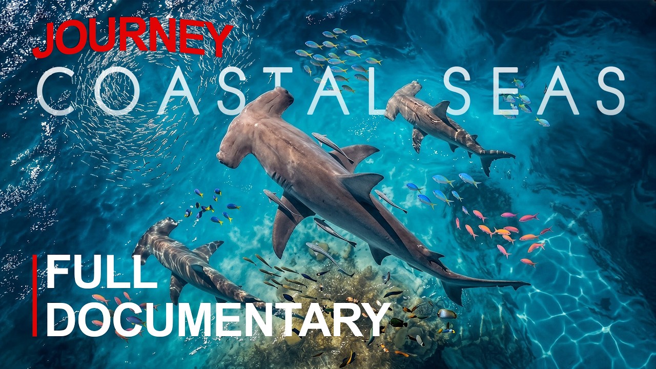 COASTAL SEAS | Life, Waves and Secrets Along the World&rsquo;s Shores | FULL DOCUMENTARY