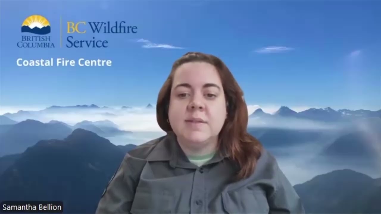 Four new wildfires discovered on Vancouver Island after weekend lightning strikes