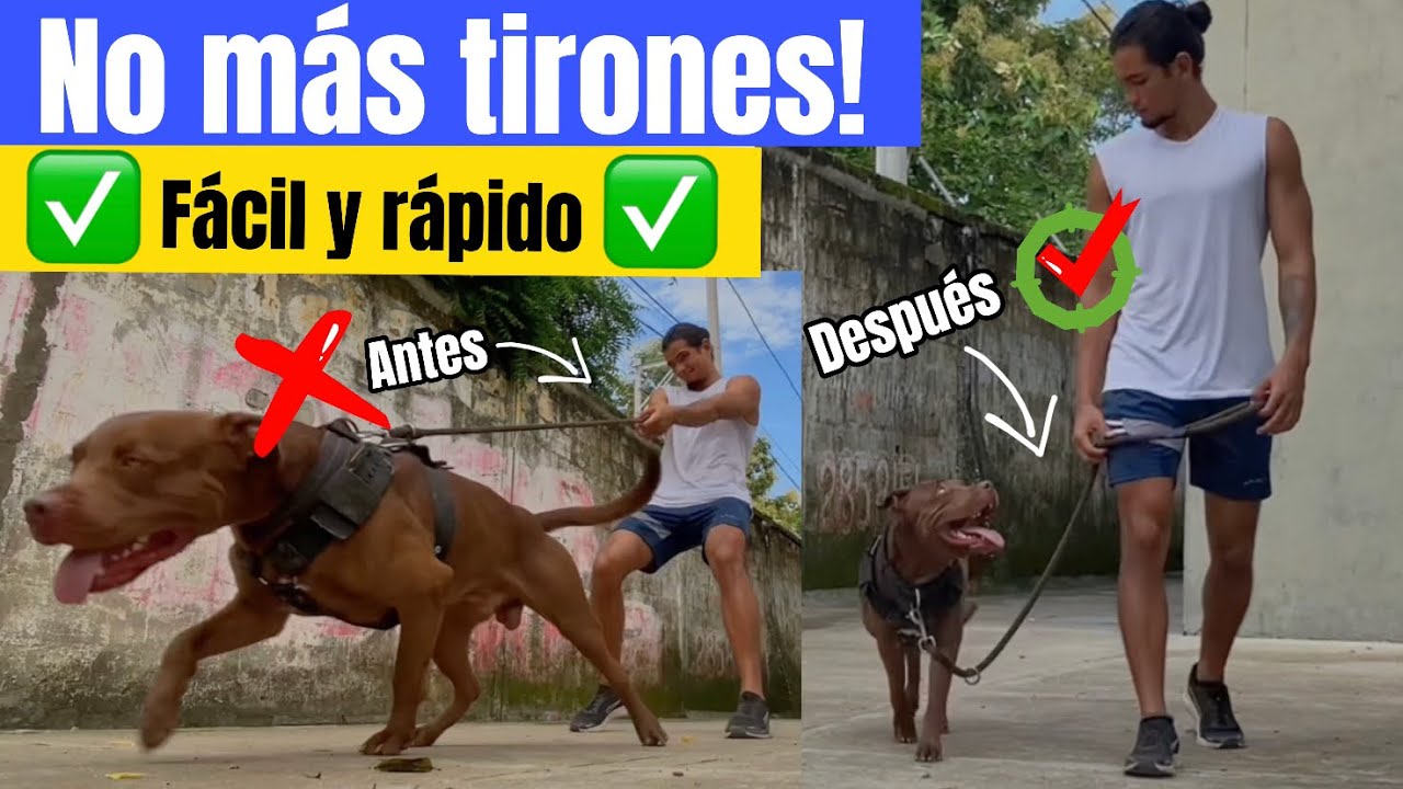 ENS&Eacute;&Ntilde;ALE a no ❌ TIRAR de la CORREA (5 consejos)