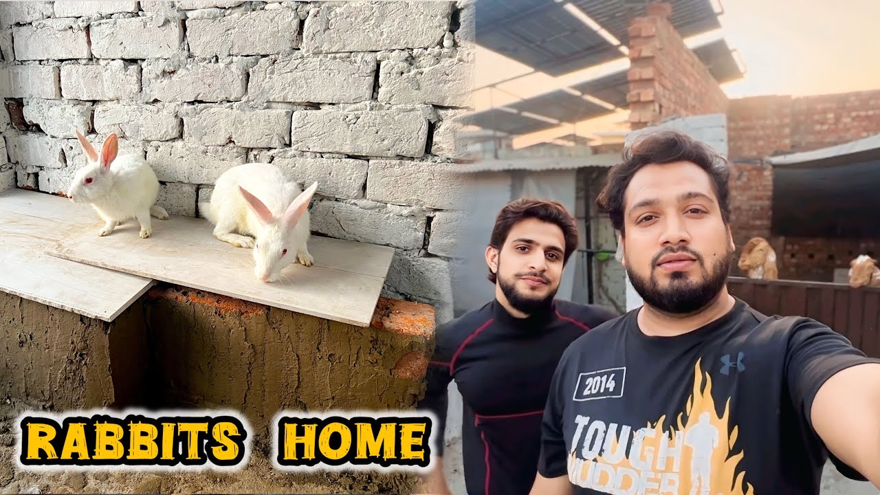 Apne Rabbit Ke Liye Ghar Bana Diya 🐰🏠