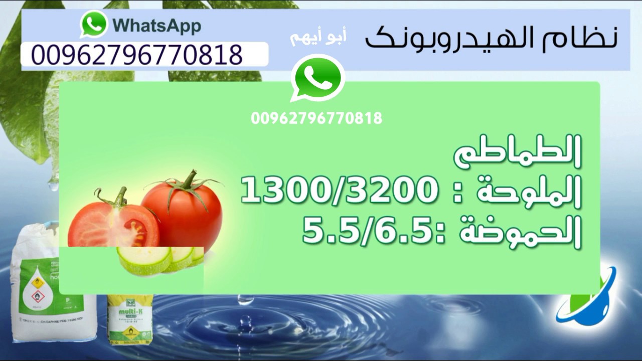 نسبة الاملاح والحموضة حسب النبتة في النظام المائي الهيدروبونيك