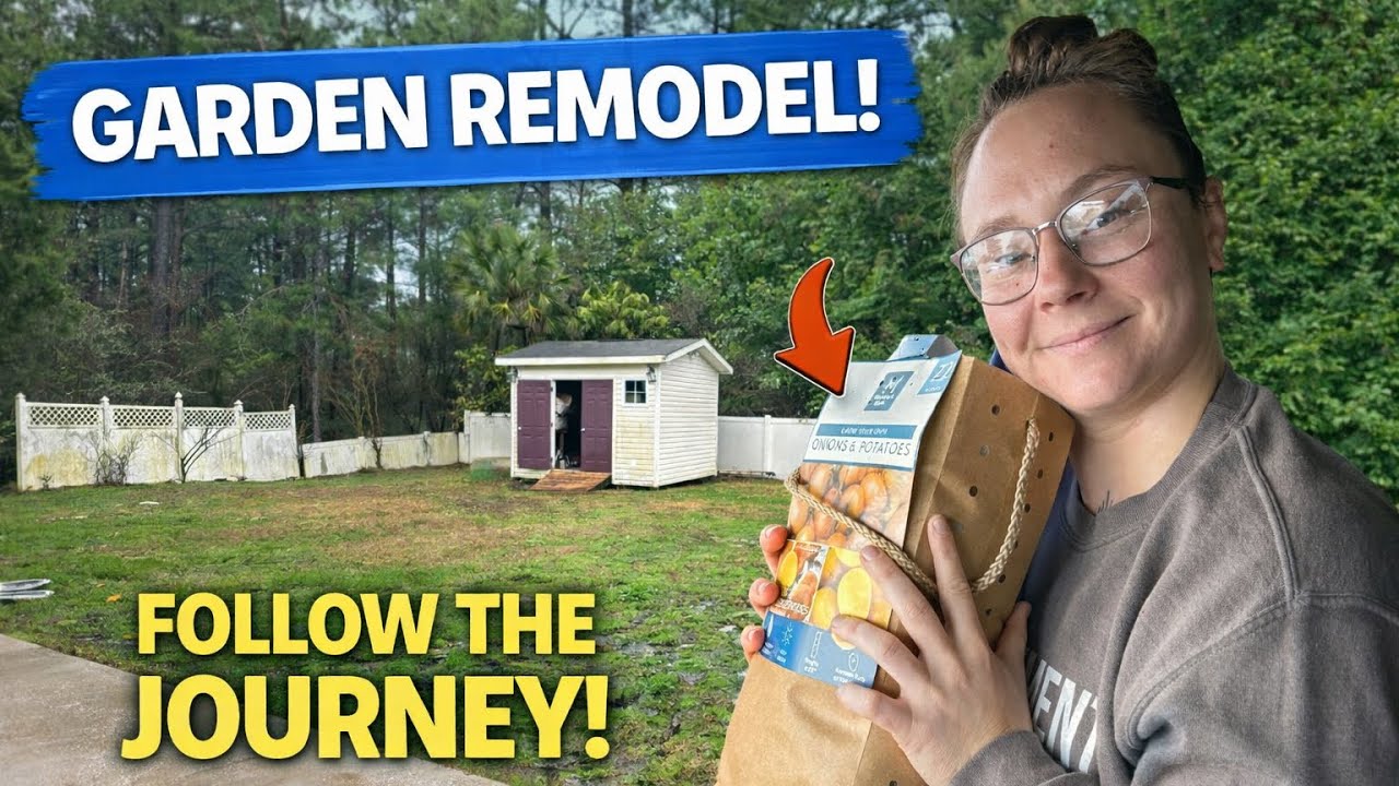 Garden remodel (spring preparation)￼