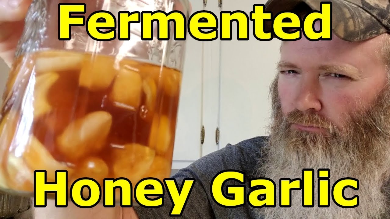 Fermented Honey Garlic feat. Amy Fewell, Ann Accetta-Scott, and Wholesome Roots