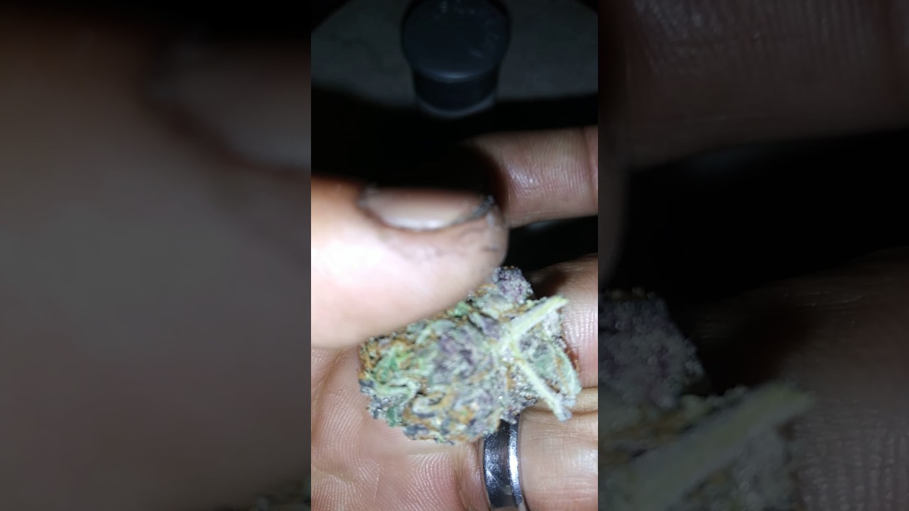 Purple urkle