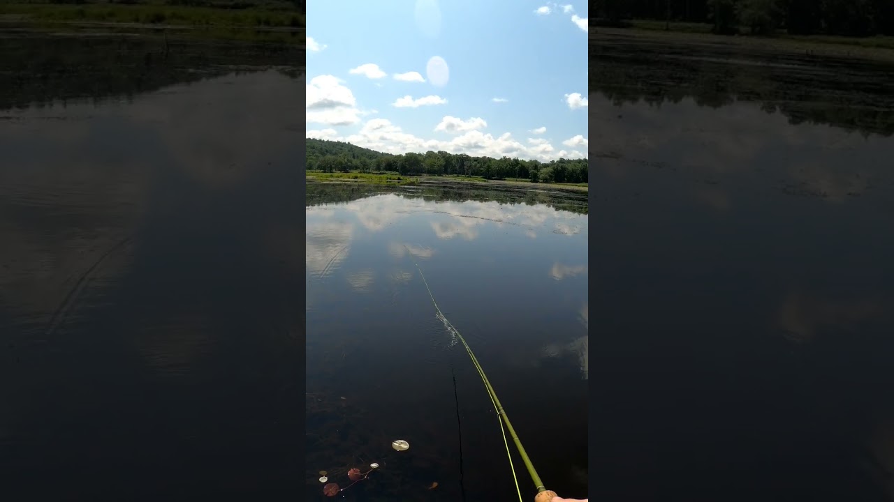 КАК ЛОВИТЬ РЫБУ НА ПОППЕР НАХЛЫСТ 