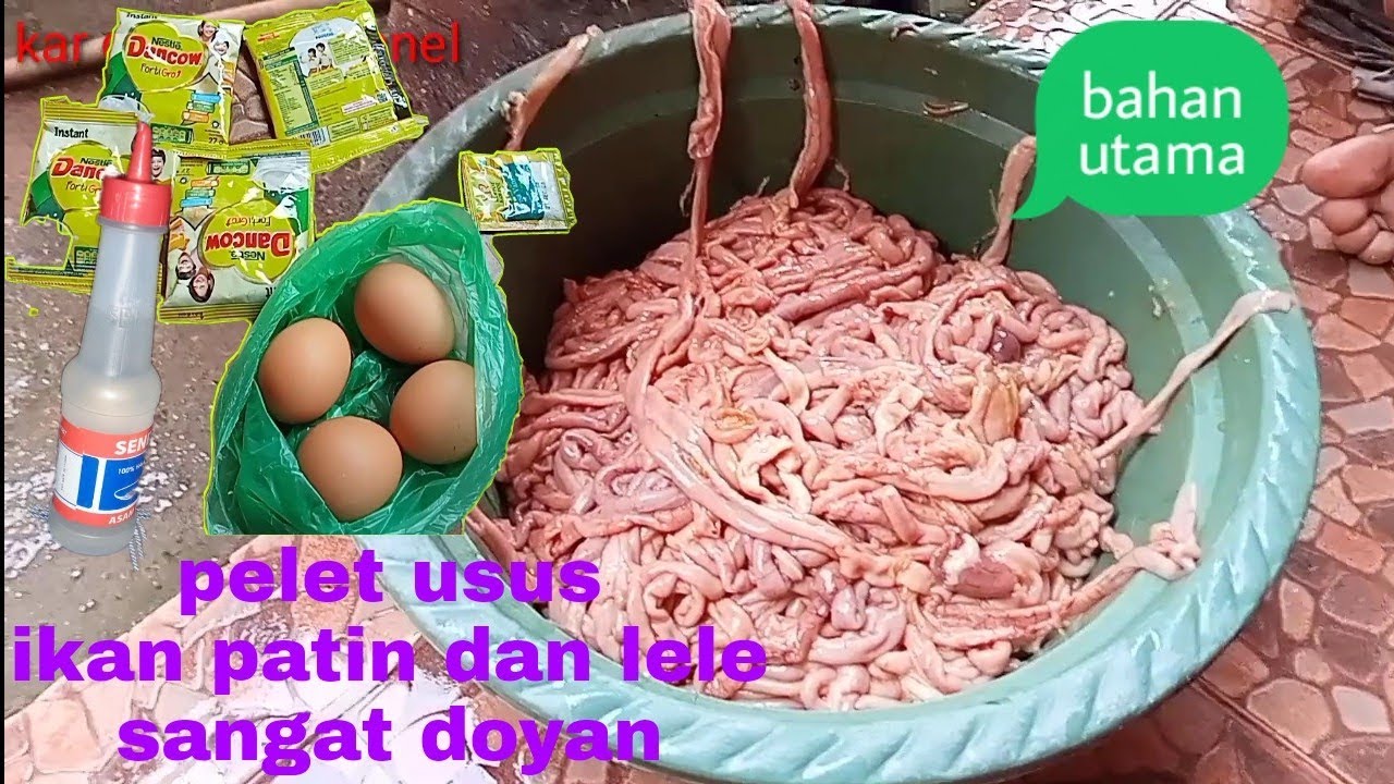 pelet usus umpan mancing lele dan ikan patin(galatama dan harian)