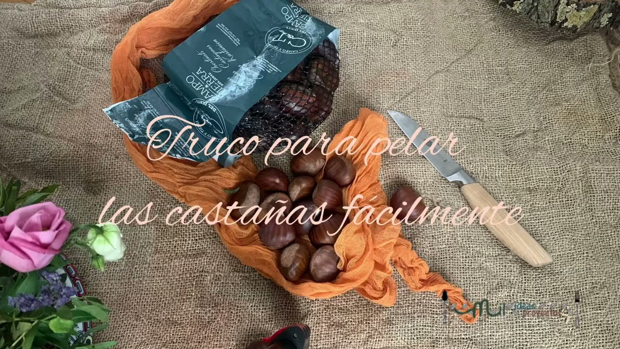 TRUCO PARA PELAR CASTA&Ntilde;AS FACILMENTE