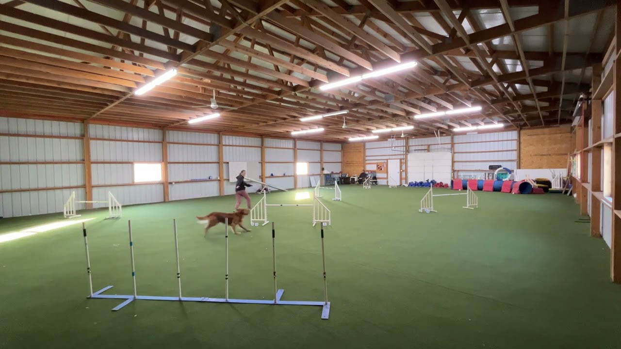 Agility 1 - Ruse