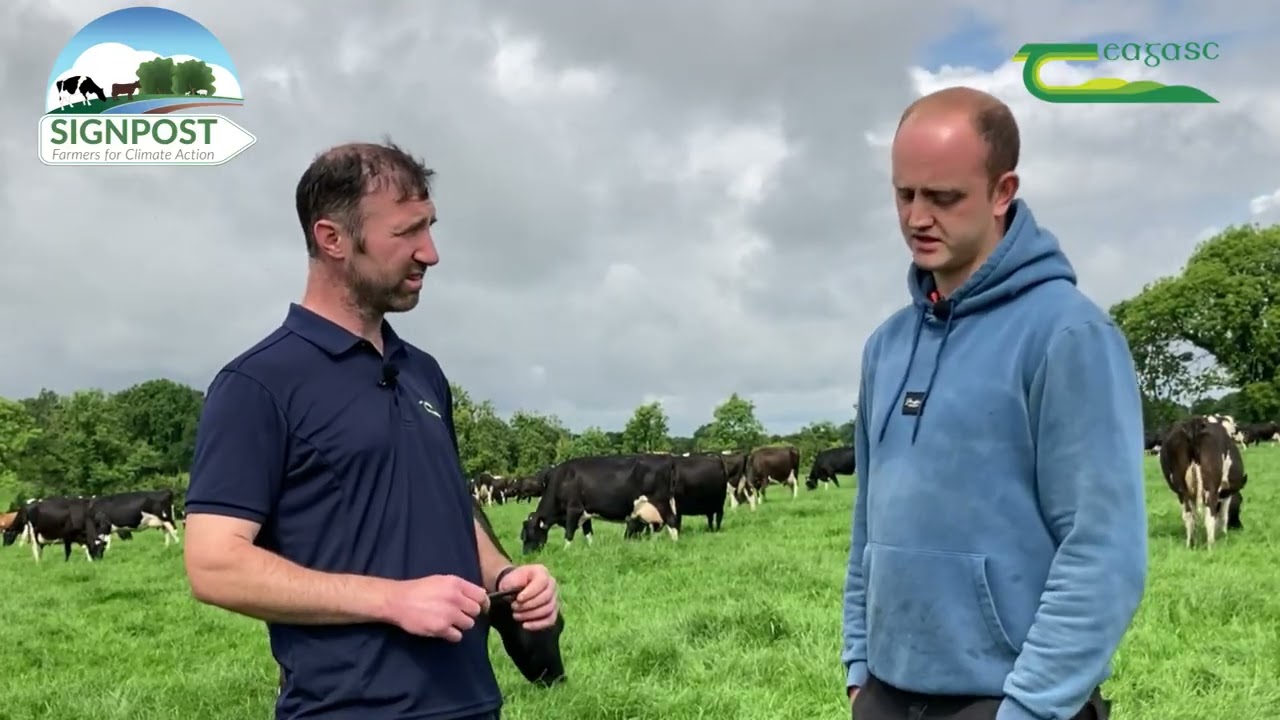 Longford Signpost farm update