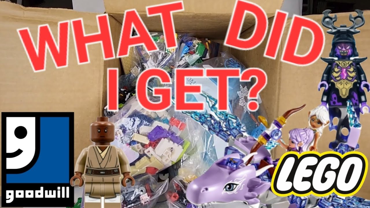 Unboxing Goodwill Lego Mystery Box! 4 of 8