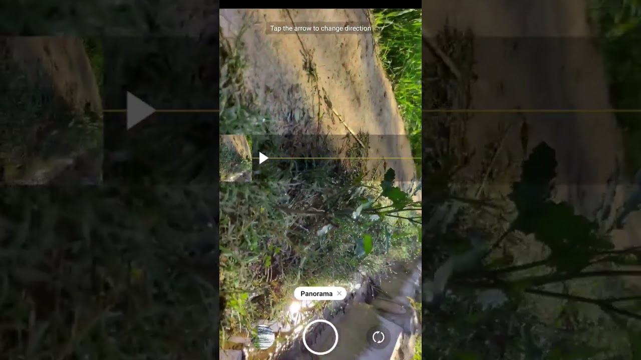 How to use panorama option in pro camera 