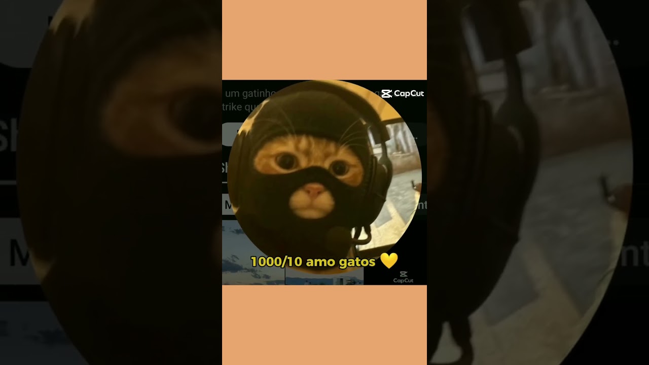 avaliando fotos de seguidores parte 6🧡✨ 