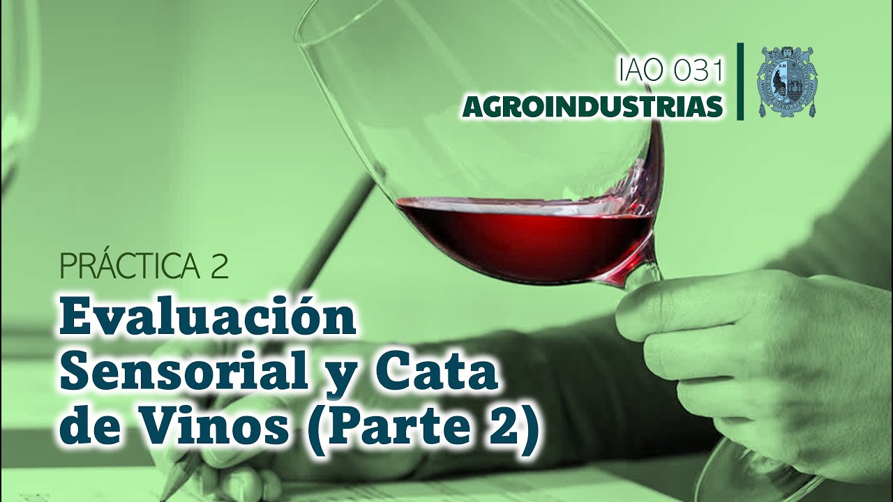 Evaluación Sensorial de Vinos 2da Parte | Práctica N° 2 | Agroindustrias | UNMSM