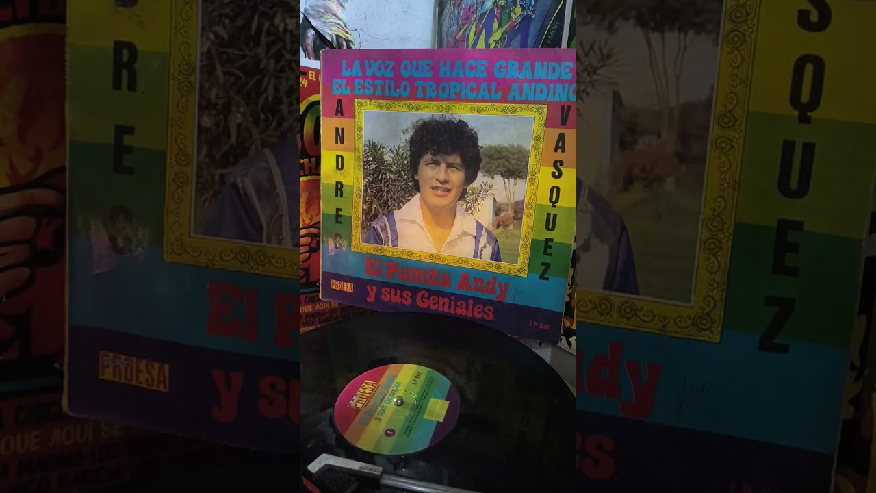 El PUMITA ANDY Y SUS GENIALES - LLORO POR TU AMOR .CAMIL TÚ DISCOTIENDA DE ÉPOCA 
