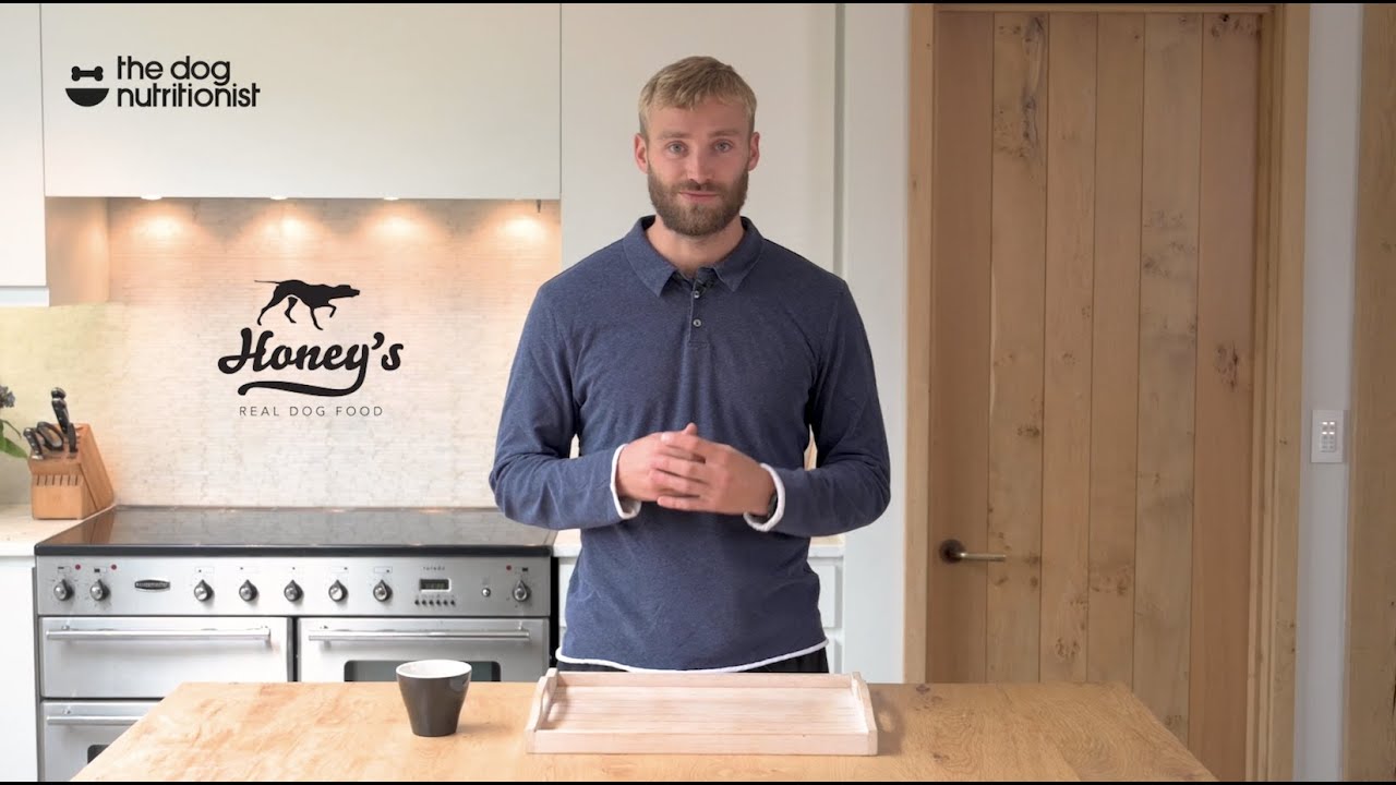 Honey's Real Dog Food - Dog Nutritionist Review