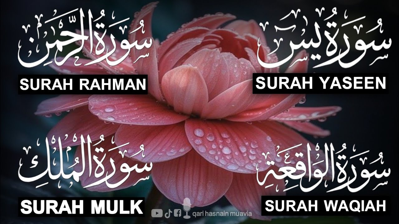 Surah Yasin ❤️ (Makki), Rahman, Waqiah & Mulk | Ep 359 | Daily Quran Recitation & Blessings