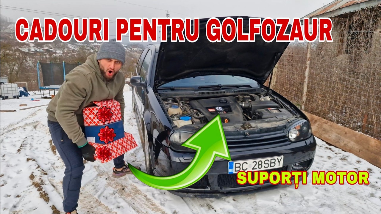 CEA MAI NECESARA INVESTITIE LA GOFOZAUR ‼️