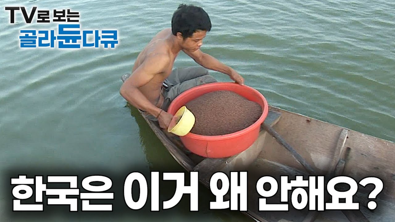 논에서 키우는 바다 해산물? 한국이 수입하는 절반 여기서 사는데 정작 한국은 안하는 이상한 양식장｜미국까지 세계로 수출하는 바다 새우 강국｜베트남 새우 양식업｜극한직업｜#골라듄다큐