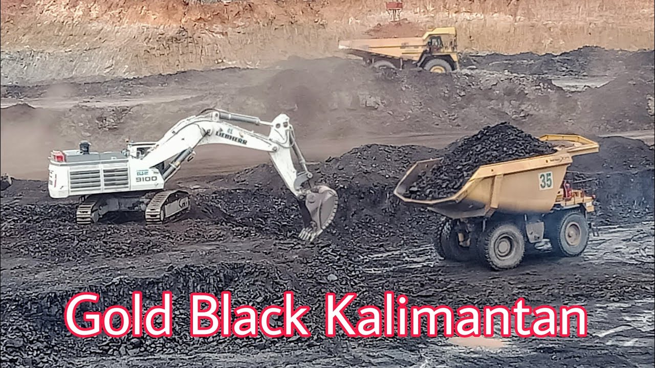 Excavator Liebeerr Loading Coal After Rain !! Coal Getting !! Tambang Batubara Kalimantan
