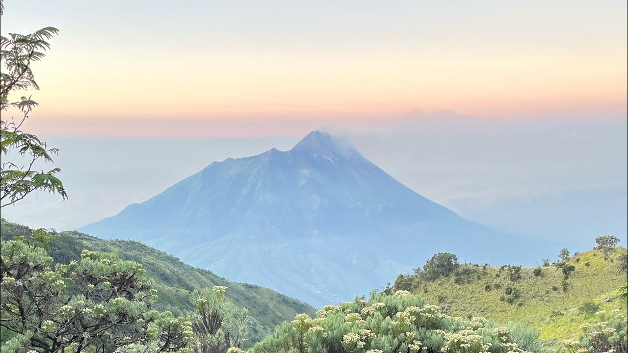 Road to Merbabu via swanting❓no, this is via Gancik ⛰️