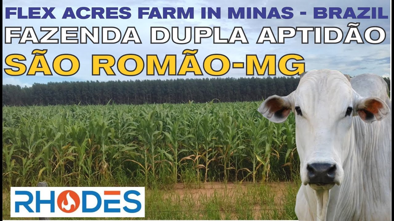 FAZENDA DUPLA APTIDÃO EM SÃO ROMÃO - MG / FLEX ACRES FAMR IN MINAS - BRAZIL