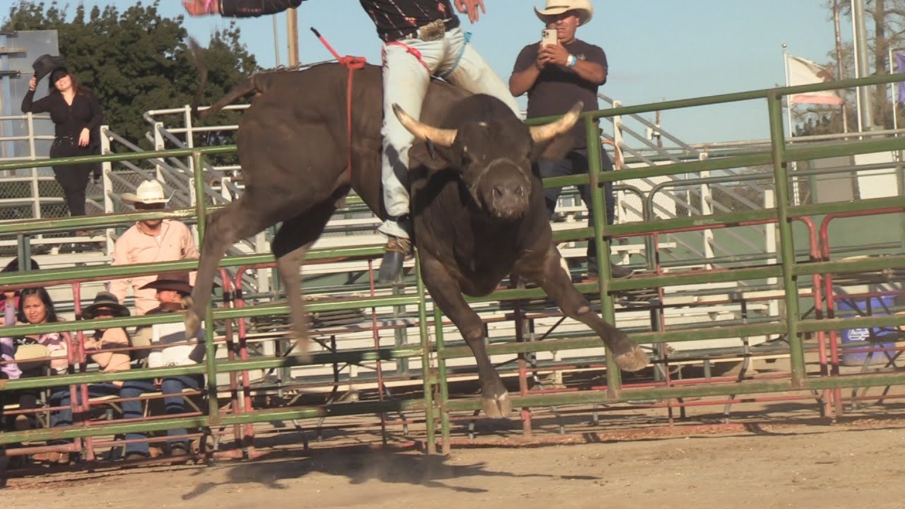 🔴 Jaripeo en Vivo ZIPIMEO MICHOACÁN 🔴 REYES DE JALISCO vs ESTRELLAS DEL SUR 21 diciembre 2025