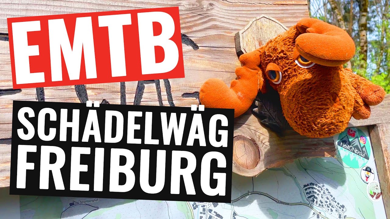 EMTB im Schwarzwald - Schädelwäg Trail Freiburg Oberried