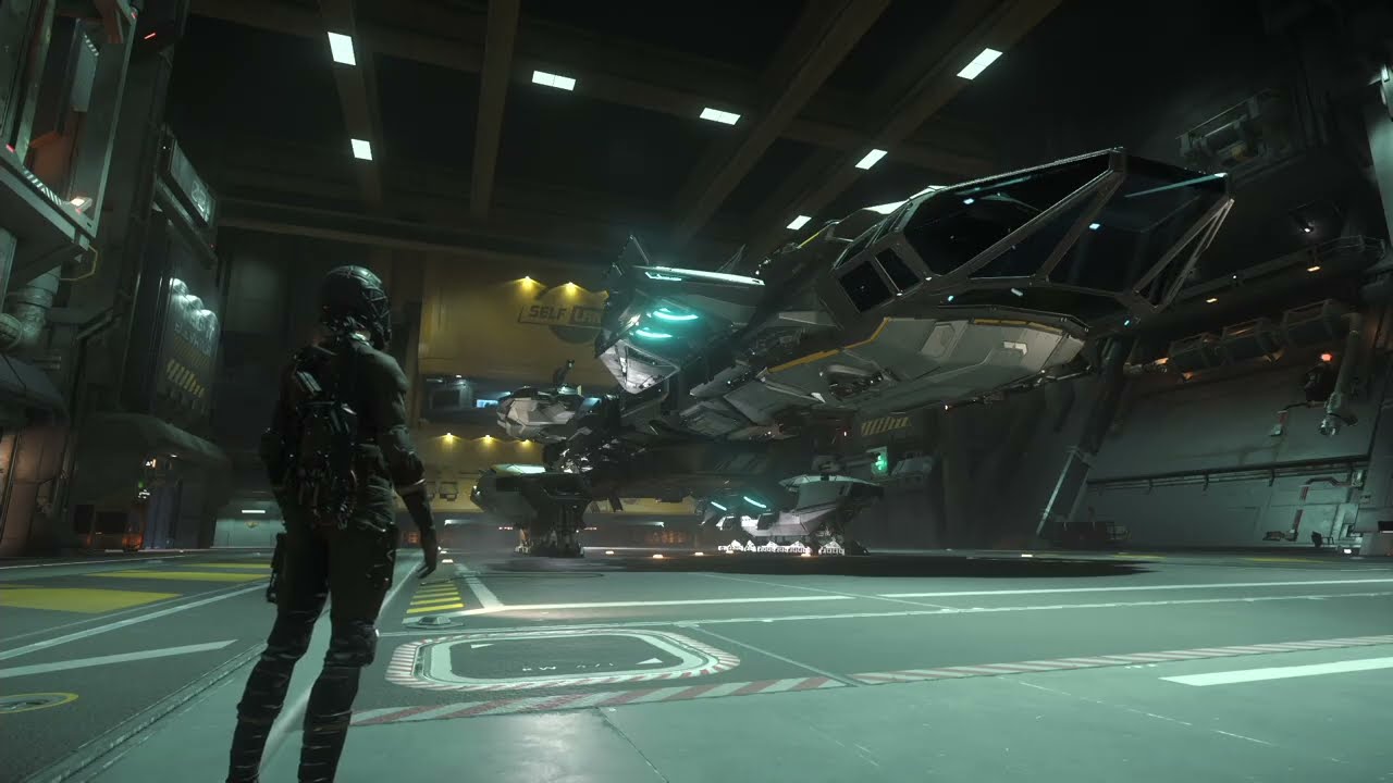 Constellation Taurus (Gold Standard) - Just Another Star Citizen Ship Tour
