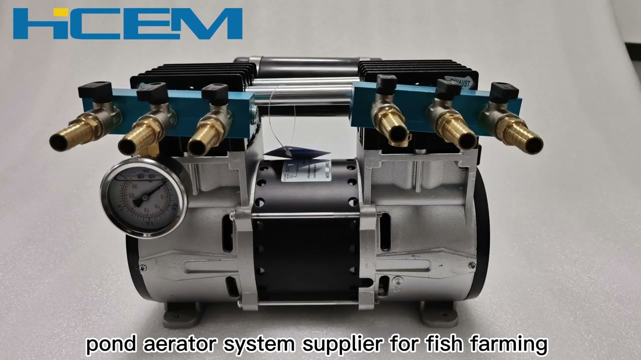 AC600W pond aeration pump with 6pcs diffusers used for 3 acres aerator for fish farming pond