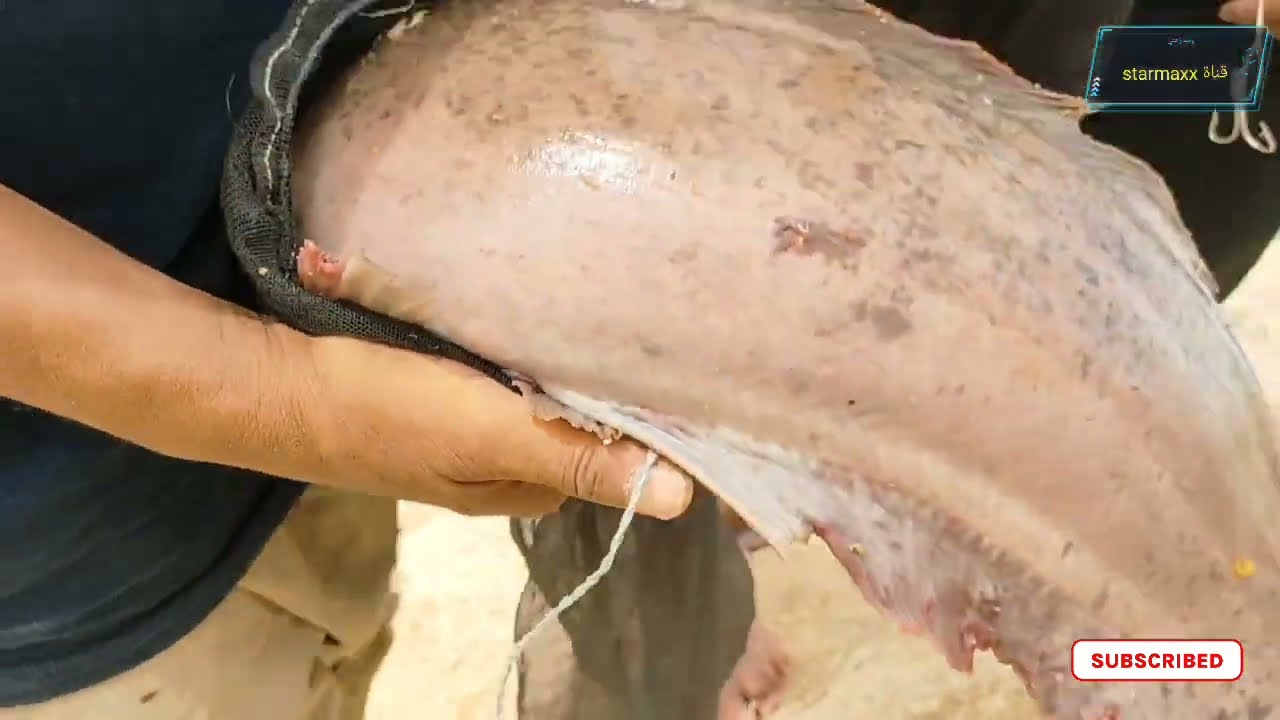 🔴 مباشر صيد وحش من امام شلالات مفيض توشكا اللهم صل على النبي