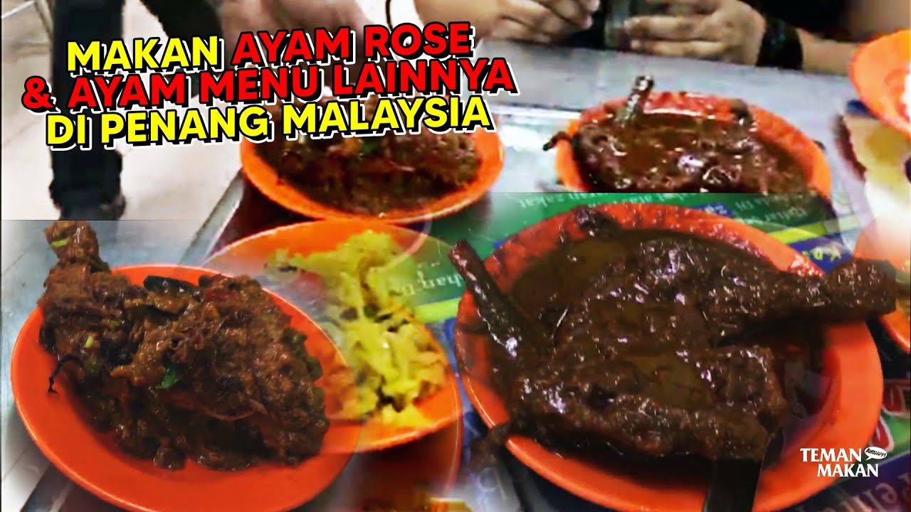 MAKAN NASI KANDAR,  AYAM ROSE, AYAM GULAI, AYAM BAWANG, DI PENANG MALAYSIA | Teman Makan