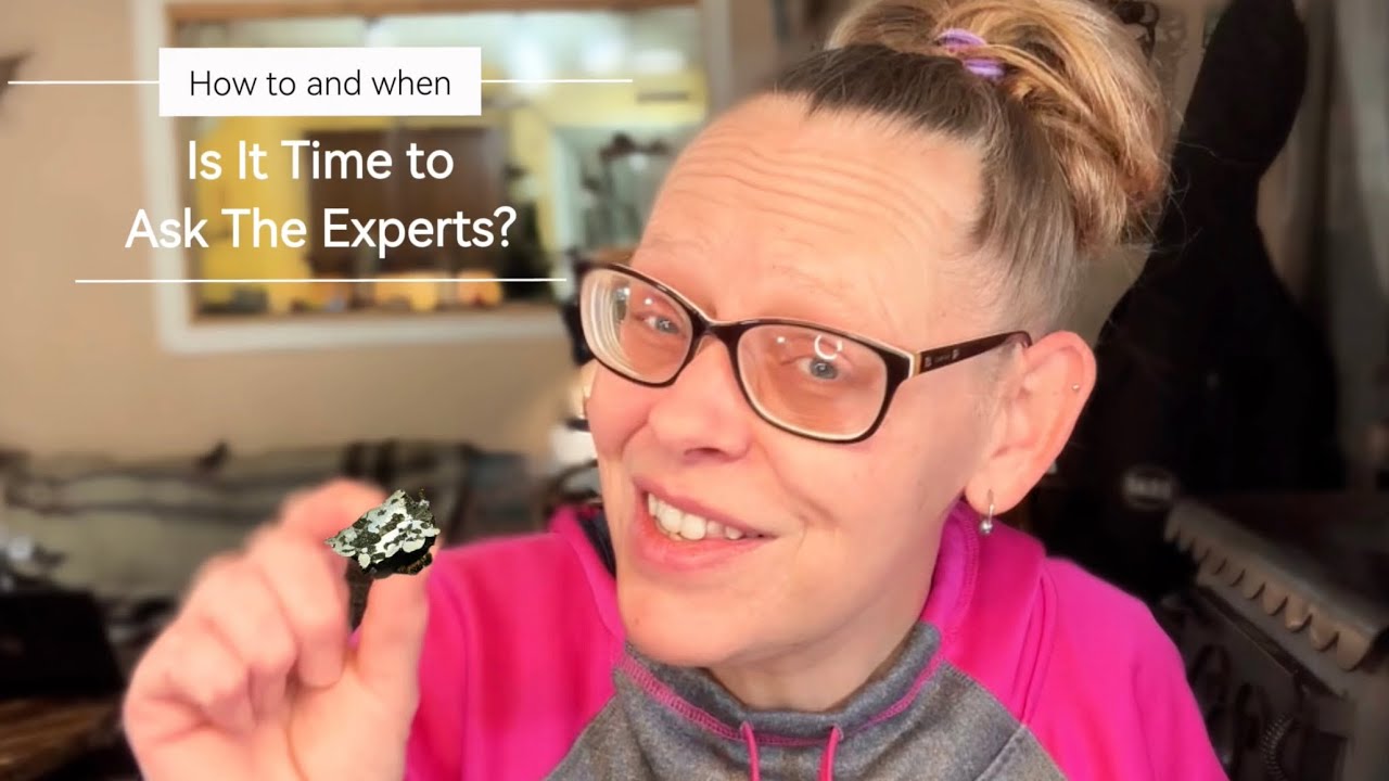 Ready Your Specimen and Yourself For Expert Review 