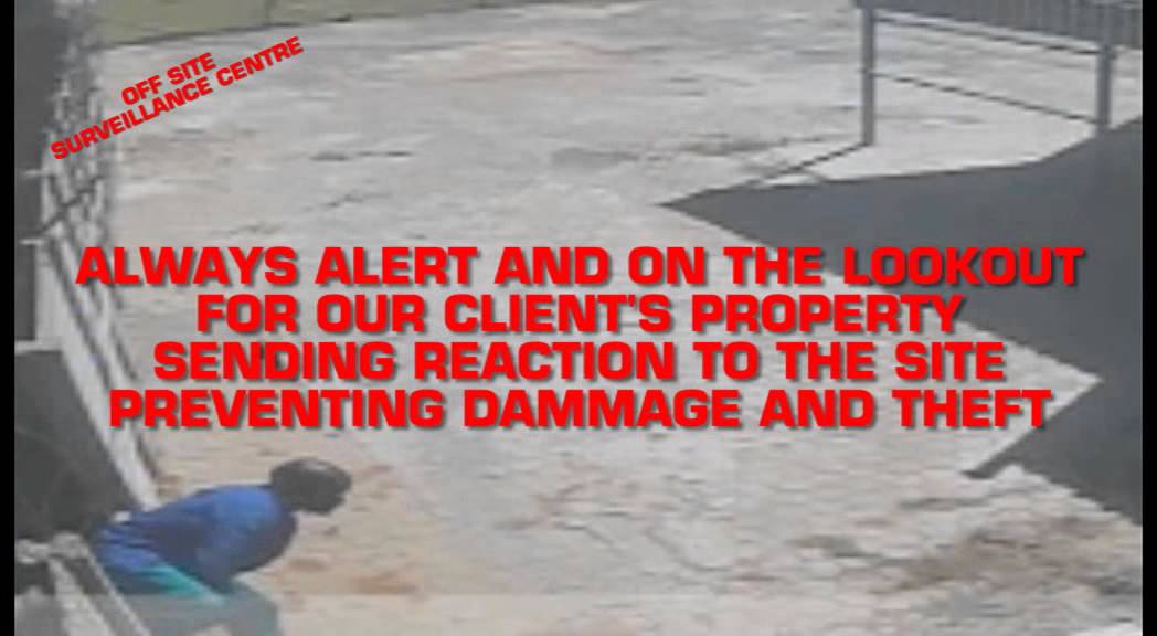 WHAT DO WE DO, WHAT CAN WE DO FOR YOU