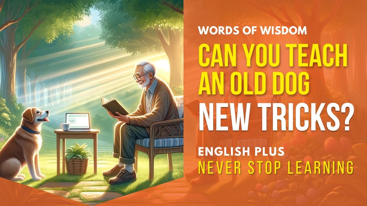 Can You Teach an Old Dog New Tricks?