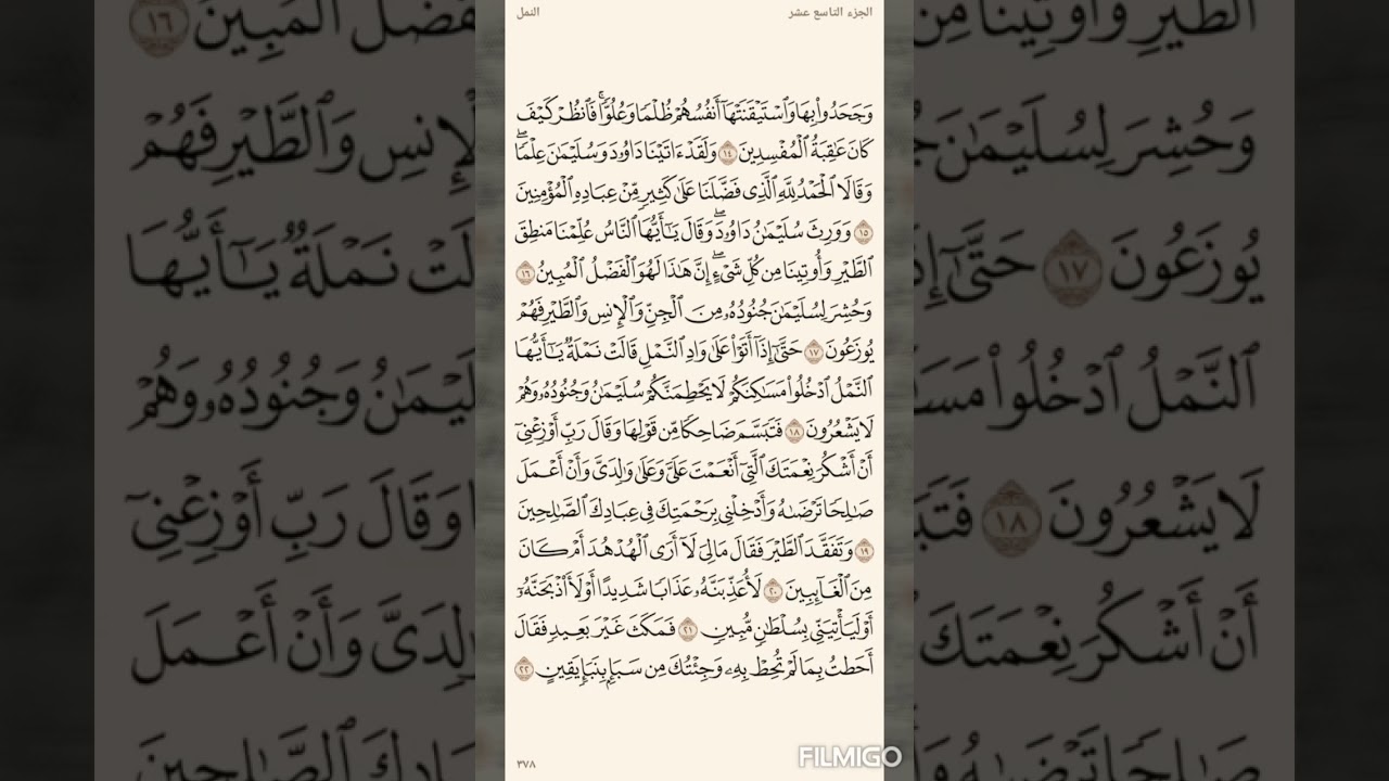 تفسير السعدي صفحة 378 سورة النمل (14) الى الاية (22)