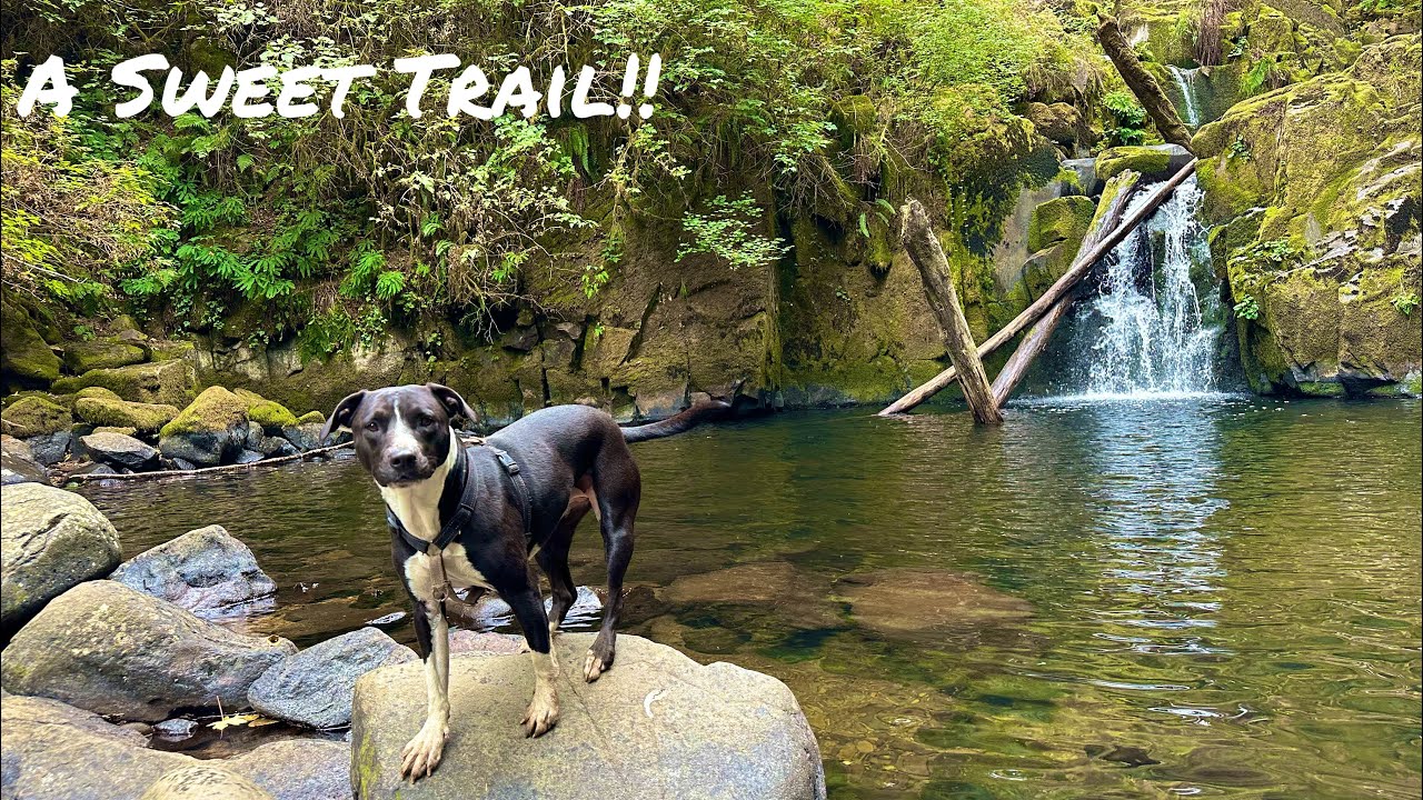 Sweet Creek Trail
