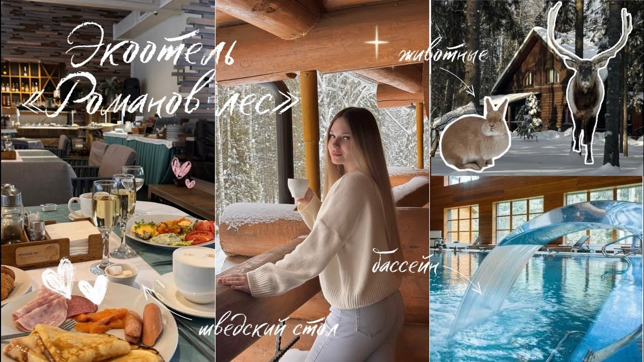 Лучшее место для отдыха || Экоотель «Романов лес»