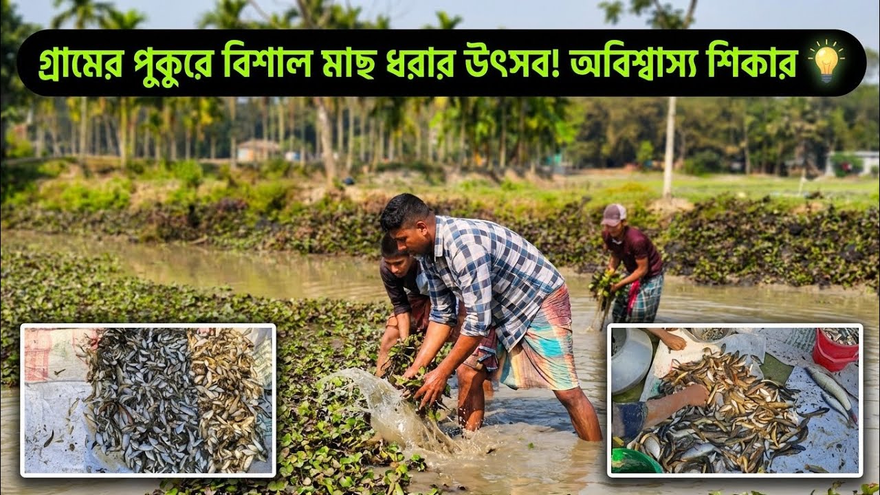 গ্রামের পুকুর সেচ দিয়ে মাছ ধরা | দেশি বড় ছোট মাছ | Village Pond Fishing Bangla