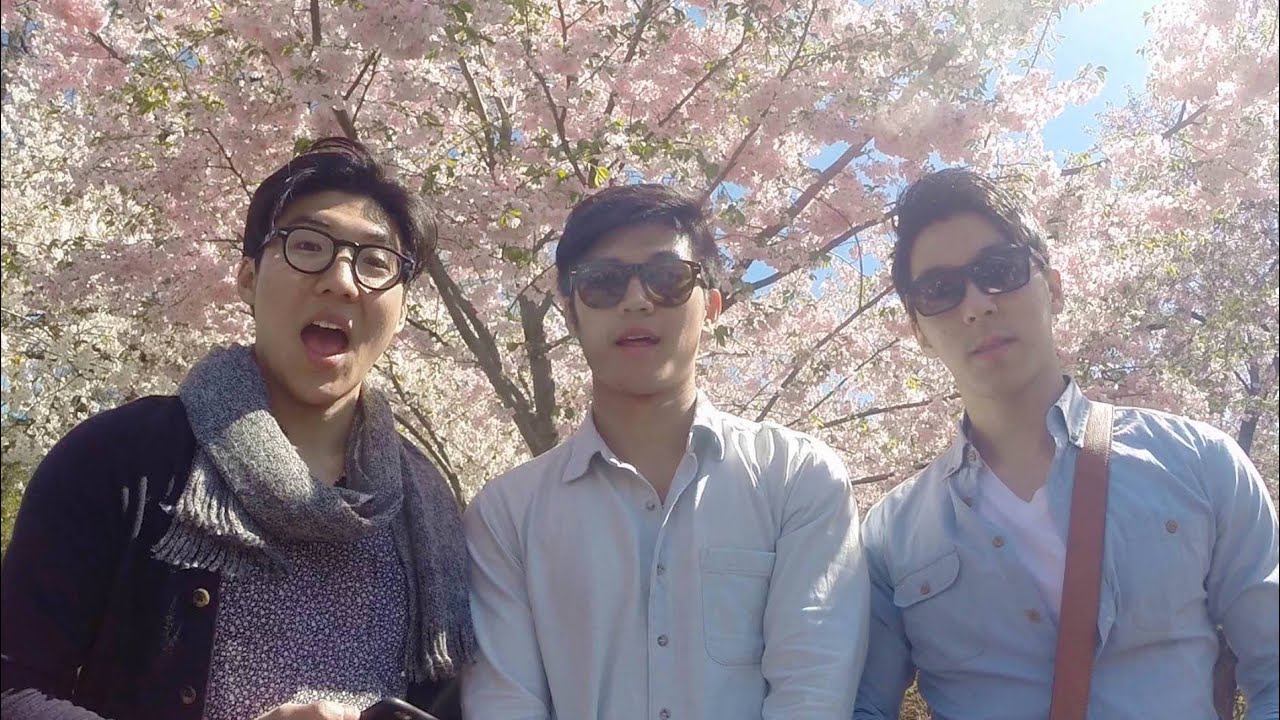 Seoul Singers - 벚꽃엔딩 [Cherry Blossom Ending] COVER