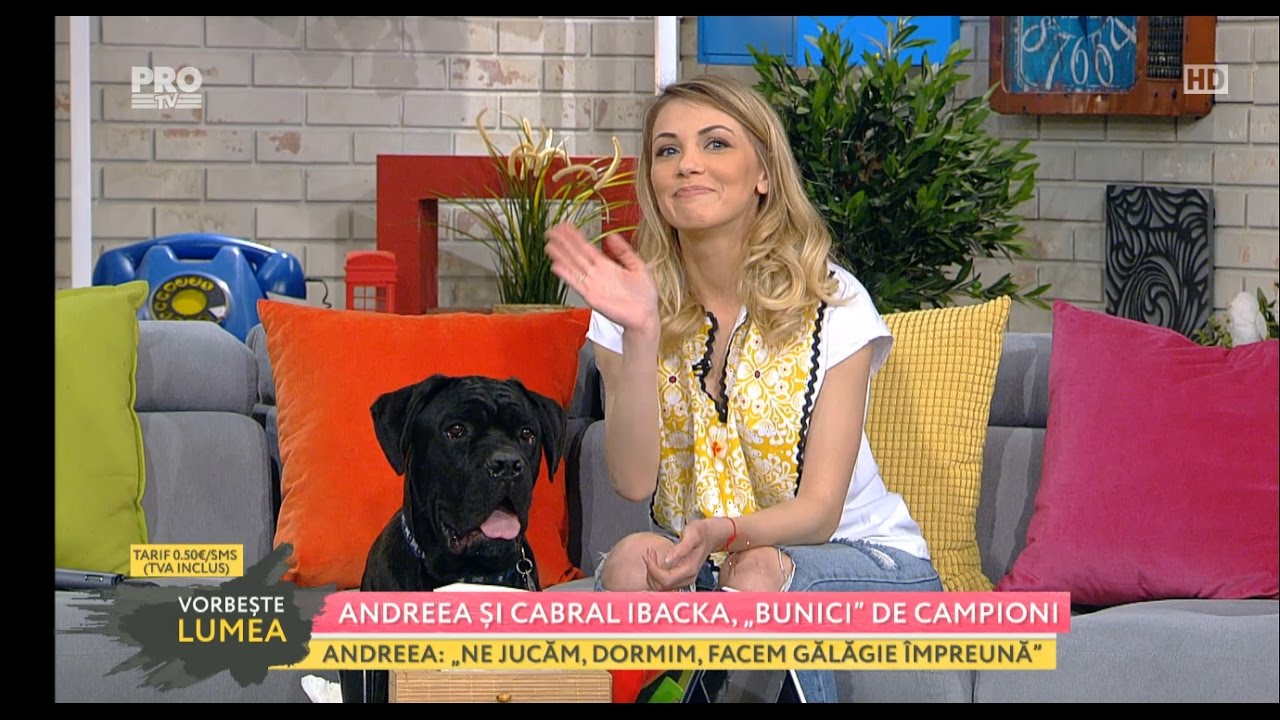 C&acirc;inele, cel mai bun prieten al omului.