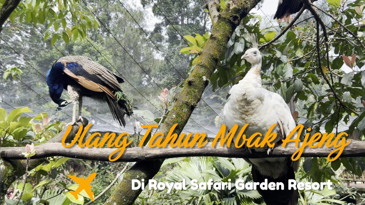 Royal Safari Garden Resort. Puncak - Bogor