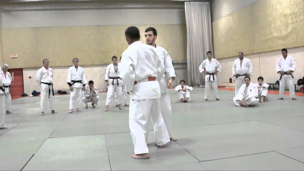 Katanishi Sasae Tsurikomi Ashi 1