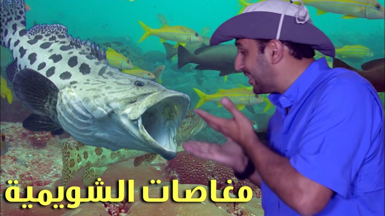 استكشاف مغاصات الشويمية ||  Explore Oman -Ash Shuwaymiyyah by scuba dive
