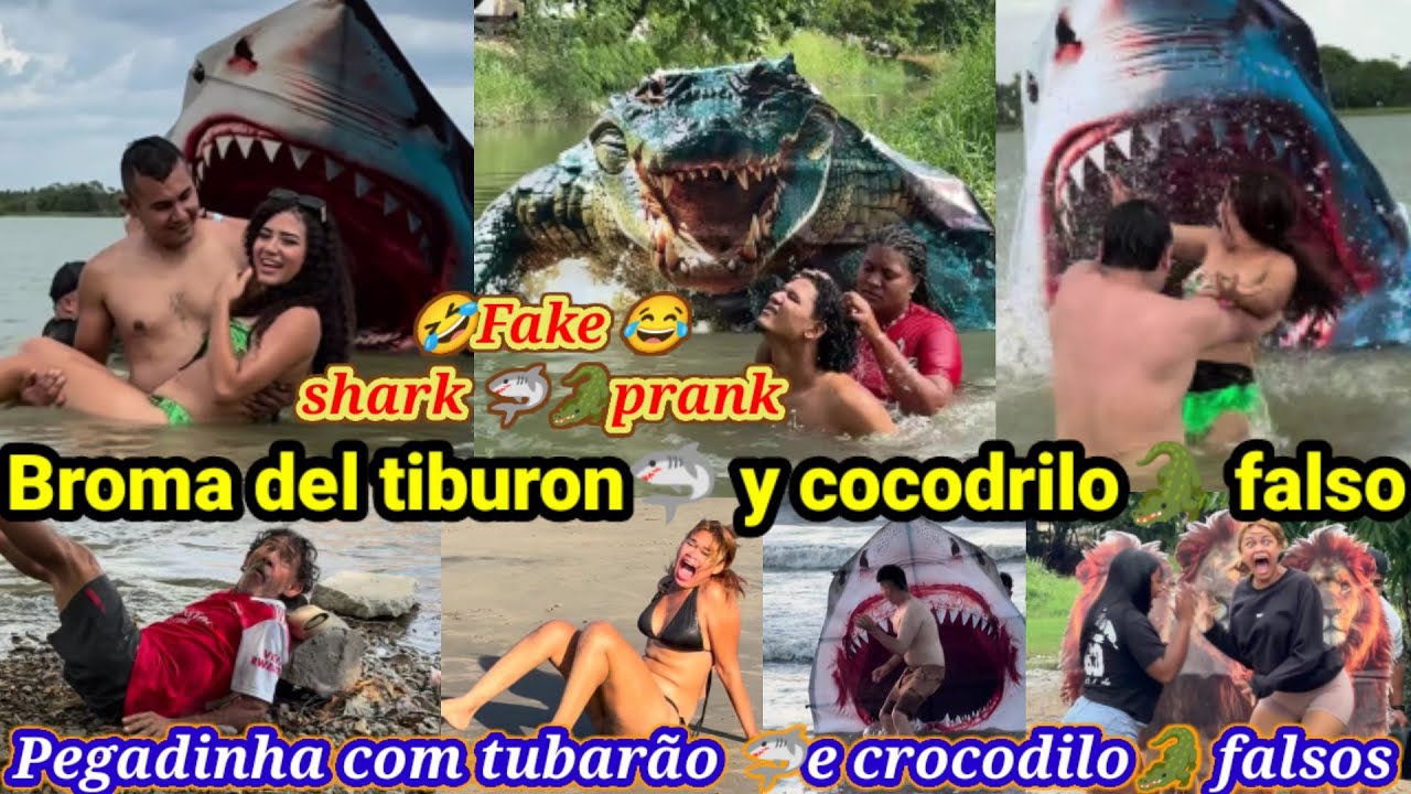 Broma del tiburon🦈🐊falso / Pegadinha com tubarão e crocodilo falsos / Fake shark prank