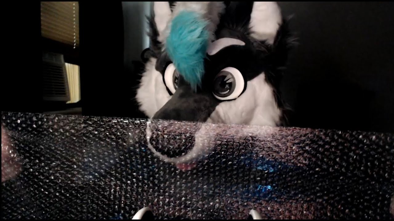 Wolf plays with bubble wrap [FURRY ASMR]